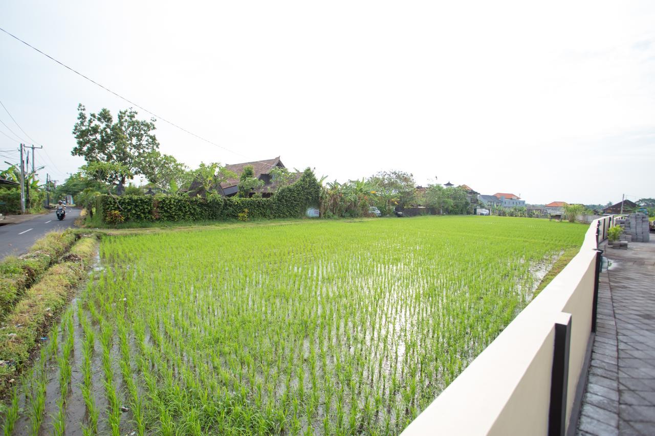 V Canggu Dormitory Exterior photo